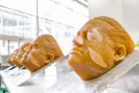Facial reconstruction Foto stock