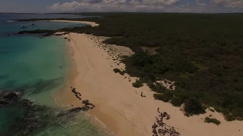 Facing Baltra from Las Bachas Beach Stock Footage 74966188