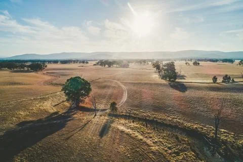 Facing the sun at sunset over meadows and pastures in Australian outback - ae Stock Photos
