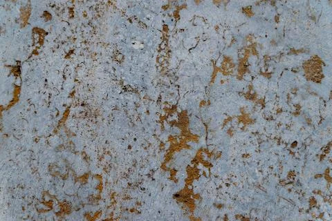 Facing tile - shell rock Derbent unique texture Foto stock