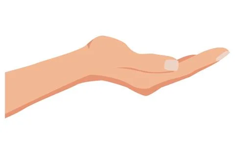 Facing up womans hand vector illustration isolated on white background. Female Ilustração Stock