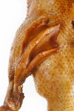 Factorization Stock Photos