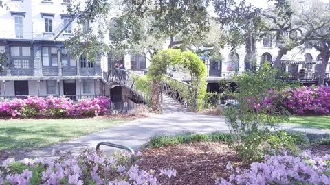 Factor's Walk Vídeo Stock 87226638
