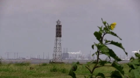 Factory in background and tower and flower up front Stock Footage 51418105