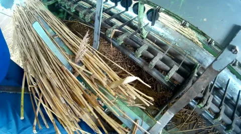 Factory cane Stock-Footage 45950523