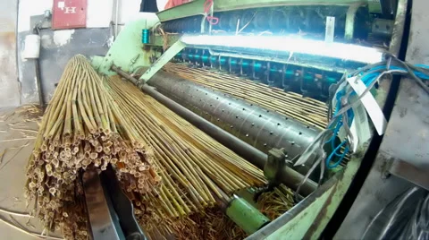 Factory cane Stock-Footage 45950730