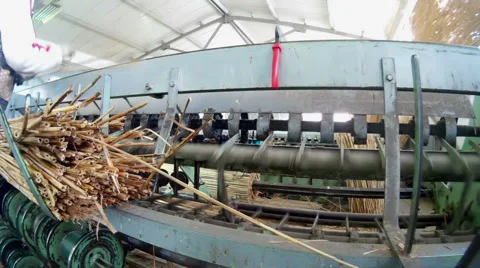 Factory cane Video stock 45951005