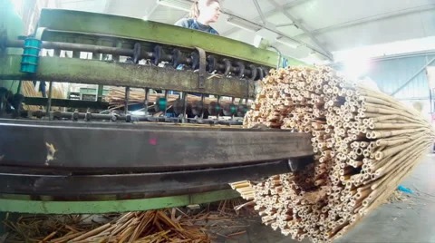 Factory cane 스톡 동영상 45956073