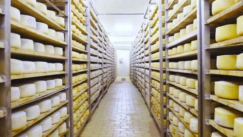 Factory cheese aging storage 4K Stock Footage