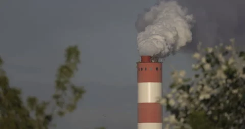 Factory chimney and bird in flight, 4K slomo Stock Footage 240549579