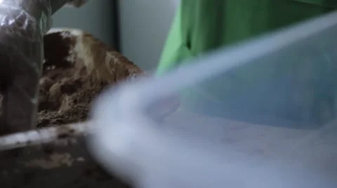 Factory Chocolates. Cook Prepares Chocolates at the Factory. 스톡 동영상 67048041