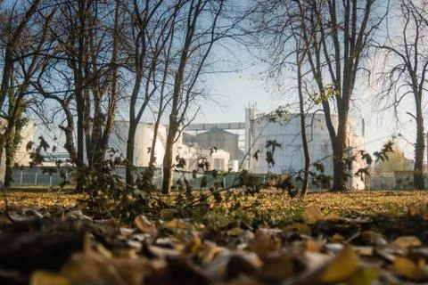 Factory complex low photographing thru park in the autumn Fotos de archivo