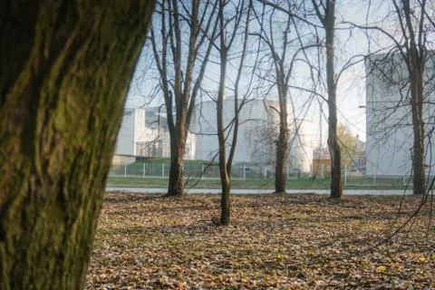 Factory complex low photographing thru park in the autumn Fotos de archivo