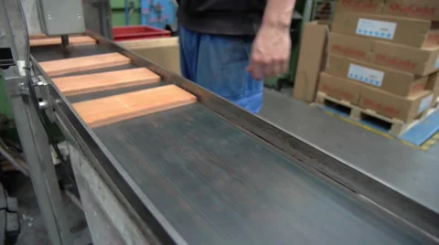Factory conveyor belt Stock Footage 51962929