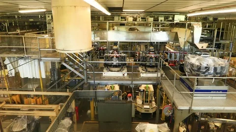 Factory facility Macadamia nut plantation workers HD Stock-Footage 81194158