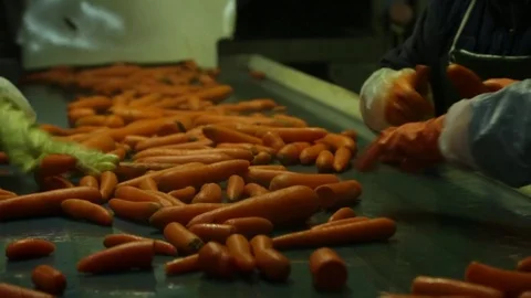 Factory Video stock 81925162