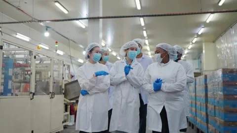 Factory Inspection Team Vidéo 332975590