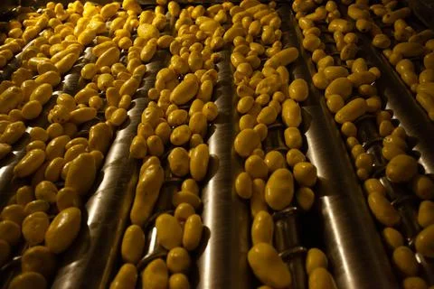 Factory interior. Potato production. Factory equipment, product manufacturing Stock Photos