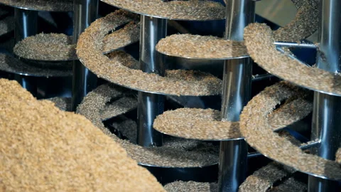 Factory machine rotating grains, close up. Malt processing equipment at malt 스톡 동영상 101976385