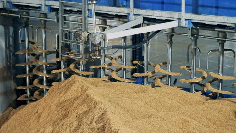 Factory machine sorting grain, close up. Malt processing equipment at malt plant 動画素材 101967624