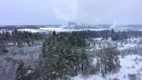 A factory in the middle of a winter forest Stock Footage 169889531