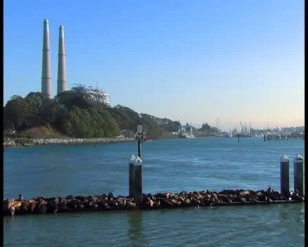 Factory - PAL Video stock 12458932