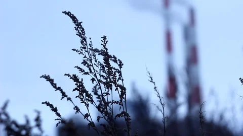 Factory Pipe And Smoke Stock Footage 123955359