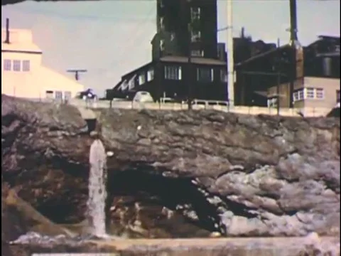 A factory pollutes a river and fish, downstream, die, in 1954. Vidéo 74947325