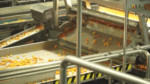 Factory processing of apricot fruit with machines Stock Footage 132779067