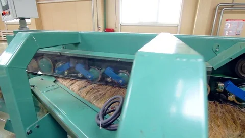 Factory processing equipment. Flax factory working process. Textile production Stock Footage