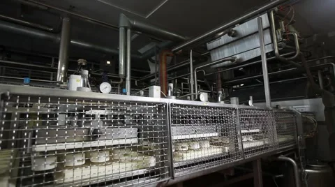 Factory production of cheese press Stock Footage 49071508