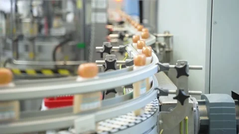 Factory production line, the new plastic bottles on the conveyor Vidéo 154030221