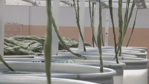 Factory for the production of textile products. Thread production. Stock Footage 148525725