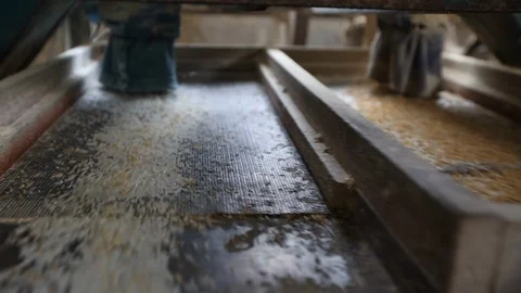 Factory rice production Vídeos de archivo 106740358