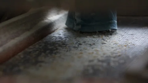 Factory rice production Stock-Footage 106740380