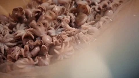 Factory  seafood Stock Footage 80777788