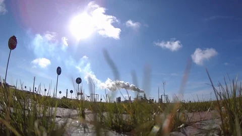 Factory smoke grass Stock Footage 78638901