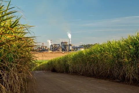 Factory sugar cane Stock Photos