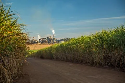 Factory sugar cane Stock Photos