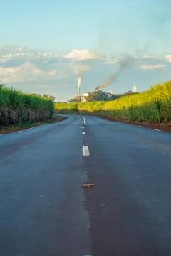 Factory sugar cane Stock Photos