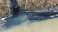 Factory toxic waste in river HD 동영상