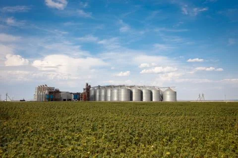 Factory vegetable oils Stock Photos