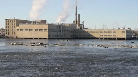 Factory on Water with Birds Flying By Stock Footage