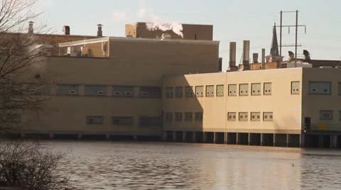 Factory on Water with Duck Stock-Footage 10738092