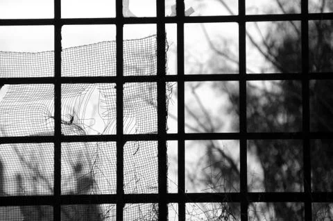 Factory window Foto stock