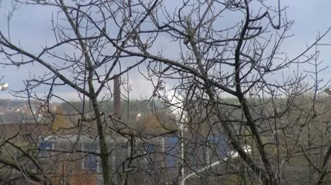 Factory in wood Stock Footage 8960051