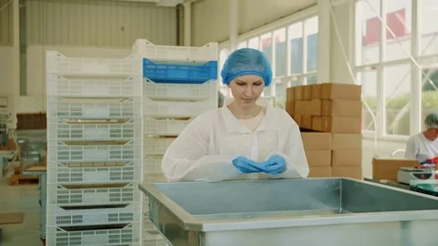 Factory worker checking packing machine. Candy factory. Stock Footage 98013627