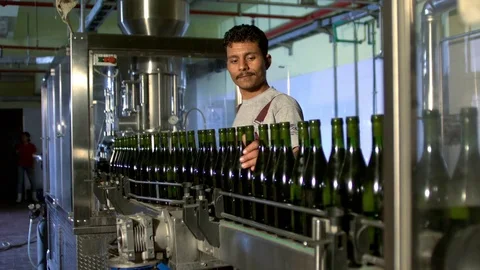 Factory worker examining the wine bottle on the production line in slow motion Vídeos de archivo 81230652
