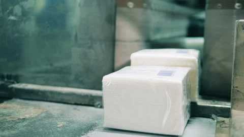 Factory worker moving packed facial tissues Stock-Footage 147597923