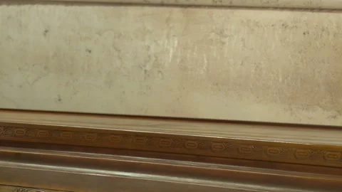 A factory worker paints a tree. A man covers a tree with paint. Video stock 148300652